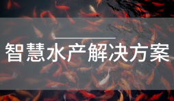 水產(chǎn)養(yǎng)殖水質(zhì)監(jiān)測